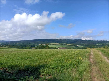 Działka budowlana Międzylesie