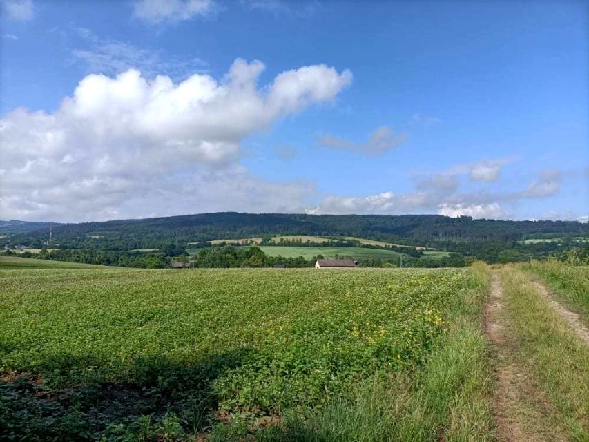 Działka budowlana Międzylesie