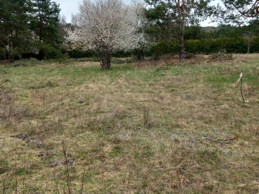 Działka budowlana Kodrąbek