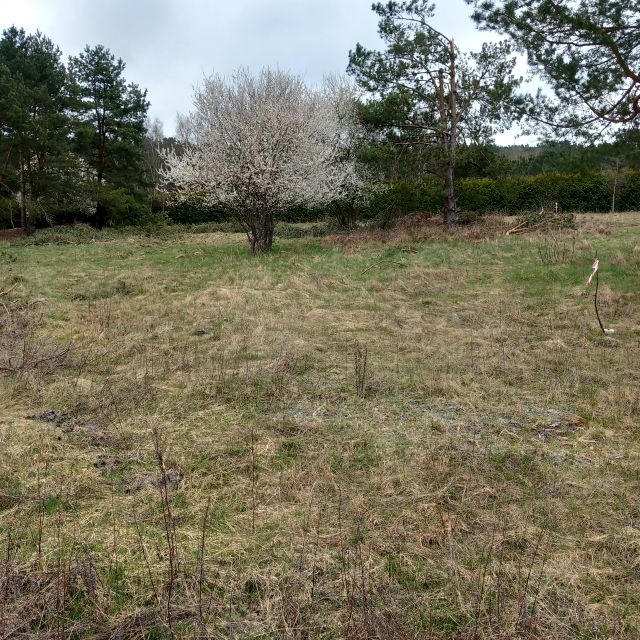 Działka budowlana Kodrąbek