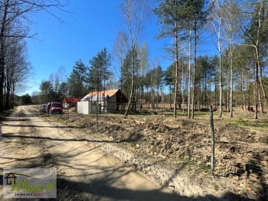 Działka Zwierzewo