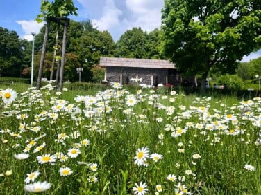 Mieszkanie Częstochowa
