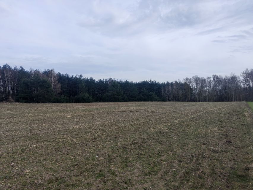 Działka rolna Panaszew