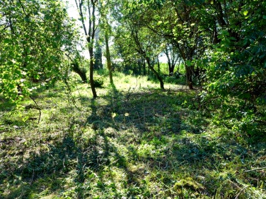 Działka rolna Kraków