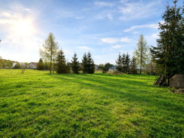 Działka inna Wałdowo Królewskie