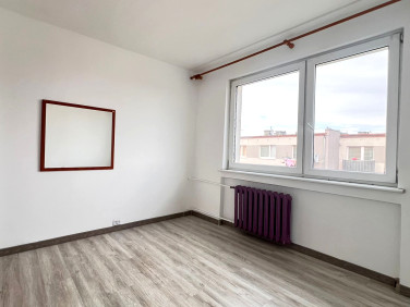 Mieszkanie Żabi Róg