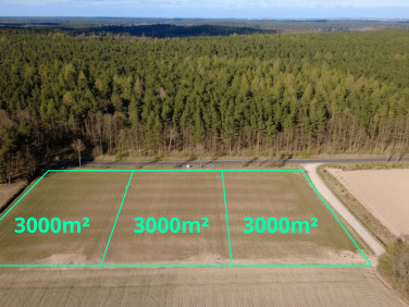 Zalesiona działka Ciche