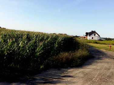 Działka Grzebienisko