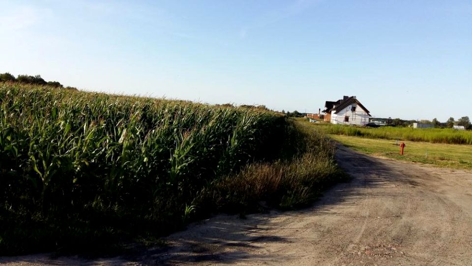 Działka Grzebienisko