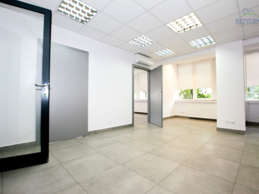 Lokal Katowice wynajem