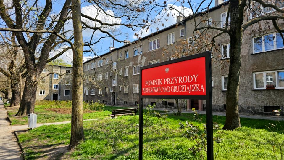 Mieszkanie blok mieszkalny Wrocław