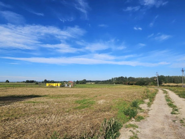 Działka budowlana Lipno