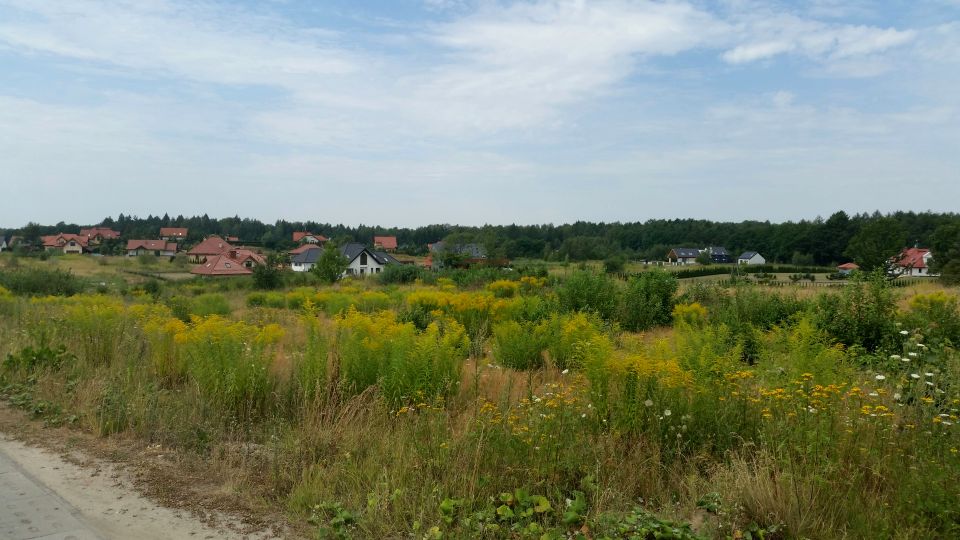 Działka budowlana Elbląg
