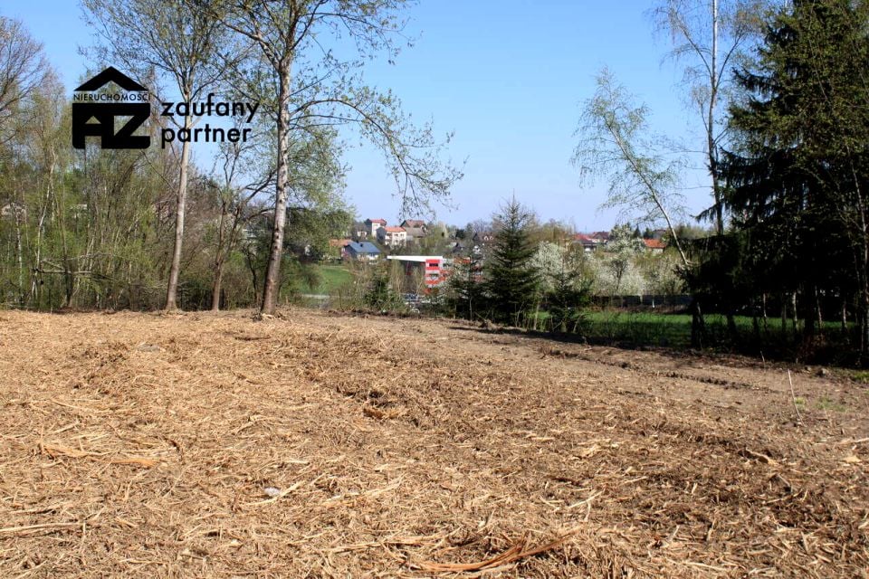 Zdjęcie 3