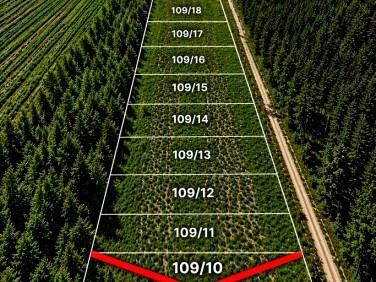 Działka budowlana Wola Mikorska