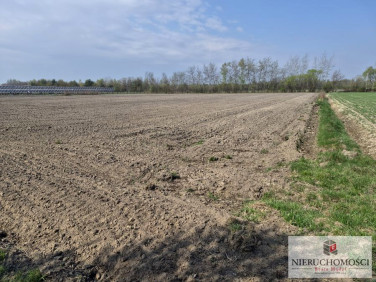 Działka rolna Radłów
