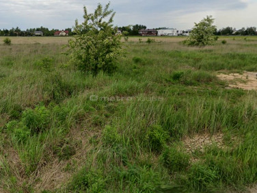 Działka budowlana Poznań