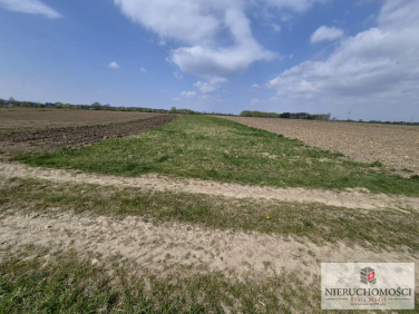 Działka rolna Wola Radłowska