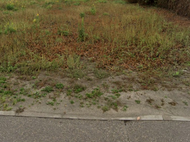 Działka budowlana Kajetany