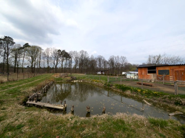 Działka inna Wałdowo Królewskie