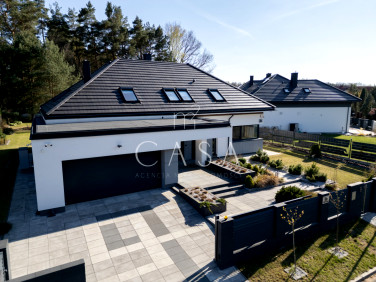 Dom Kanie