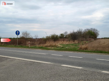 Działka rolna Oleśnica
