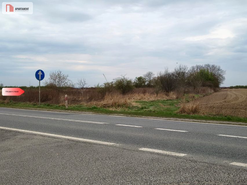 Działka rolna Oleśnica