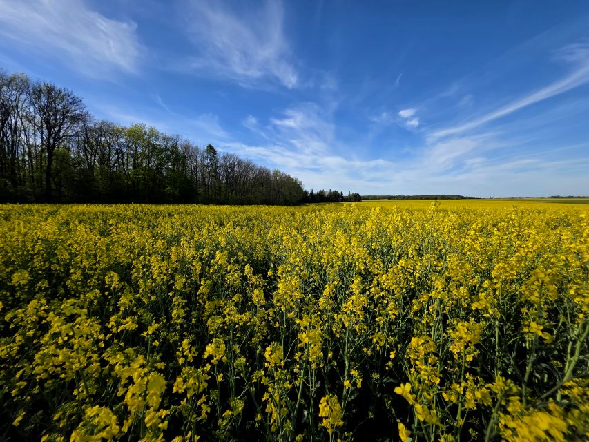 Działka Kolonia Kiełczewice Dolne