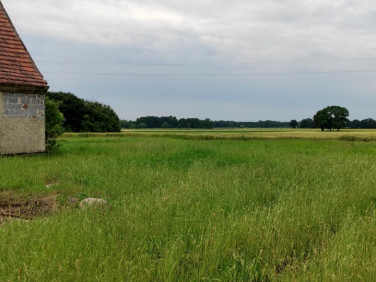 Działka budowlana Oleśnica