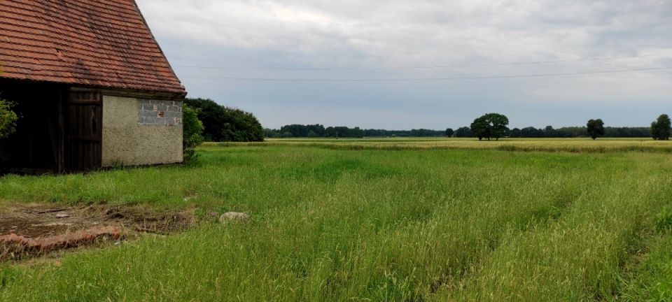 Działka budowlana Oleśnica