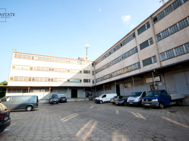 Lokal Gdańsk