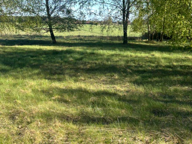 Działka Wrzosy