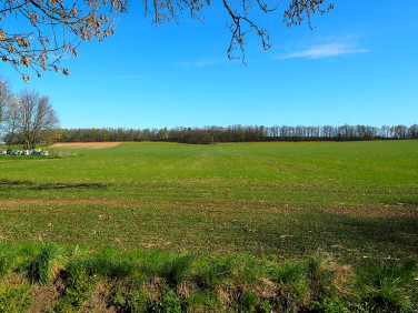 Działka budowlana Brunów