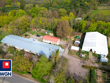 Budynek użytkowy Szamocin
