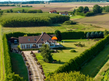 Dom Czernin