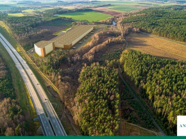 Działka inwestycyjna Pieńsk