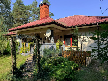 Budynek użytkowy Ruda sprzedaż