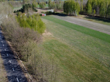 Działka siedliskowa Borów