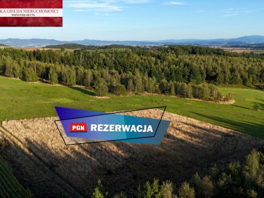 Działka Niwa