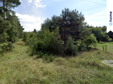 Działka budowlana Niezgoda