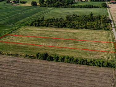Działka budowlana Piaski sprzedam