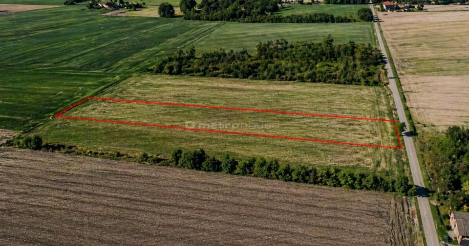Działka budowlana Piaski sprzedam