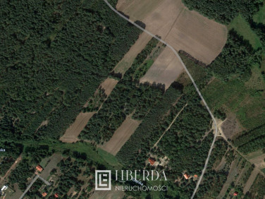 Działka rolna Kąty-Miąski