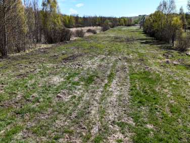 Działka budowlana Wilków