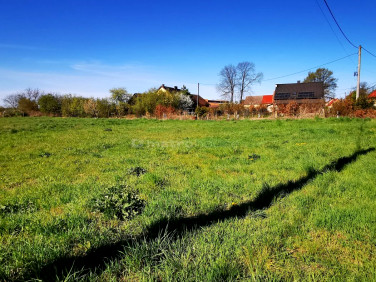 Działka budowlana Krasowice