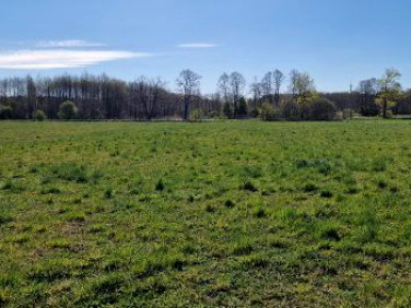 Pusta działka Olszówka