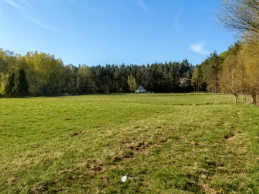 Działka inna Czapielsk