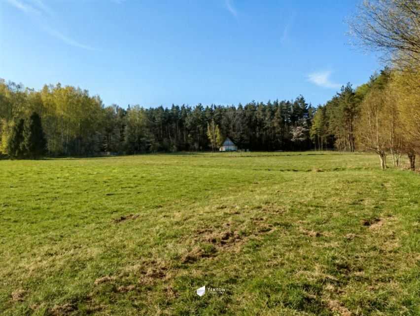 Działka inna Czapielsk