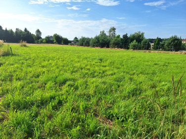 Działka budowlana Rybnik