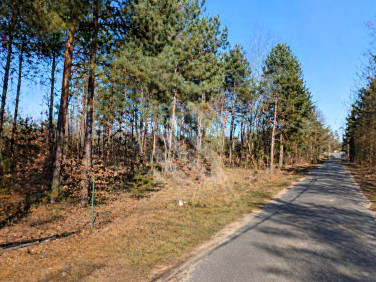 Działka budowlana Słończ